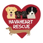 HavaHeart Rescue