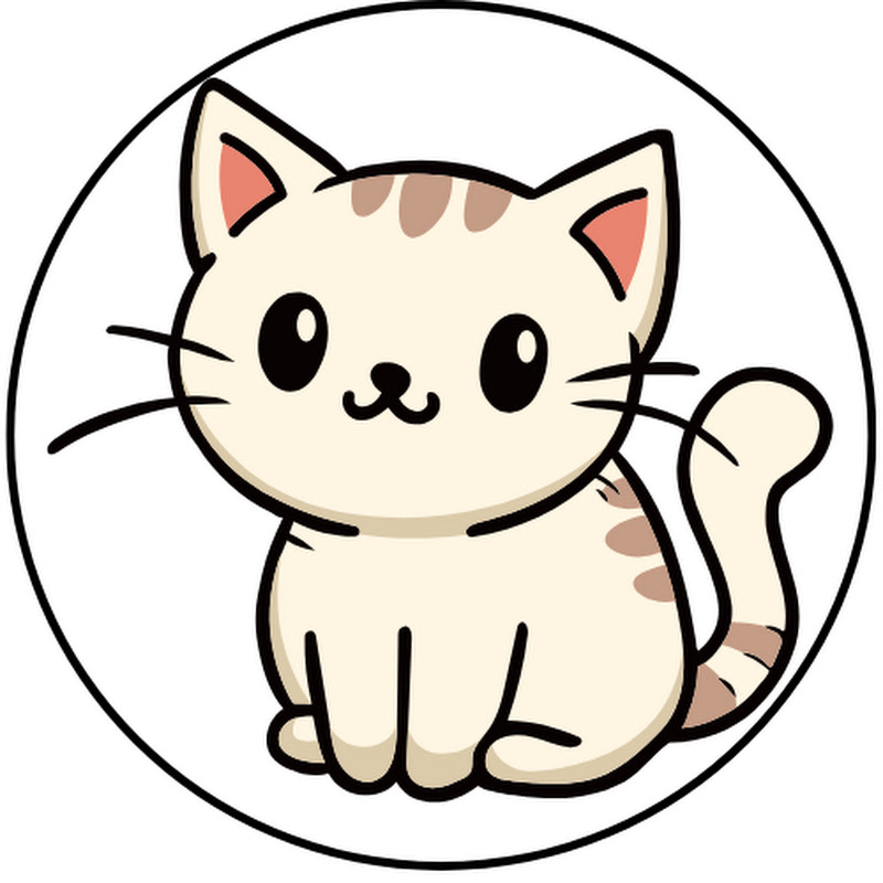 FUNY CAT CUTE