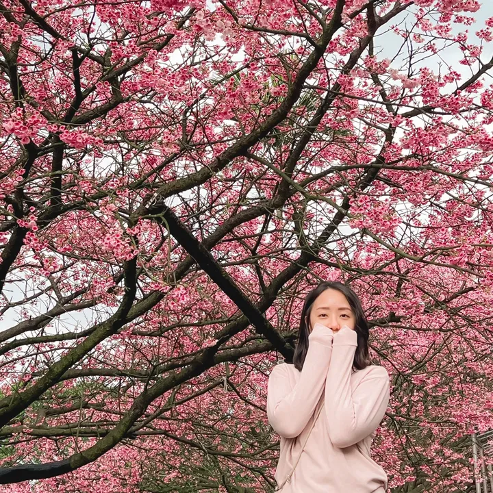 Isabel | Food, Cafes & Travel