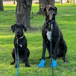 Hunter & Axel & Denver