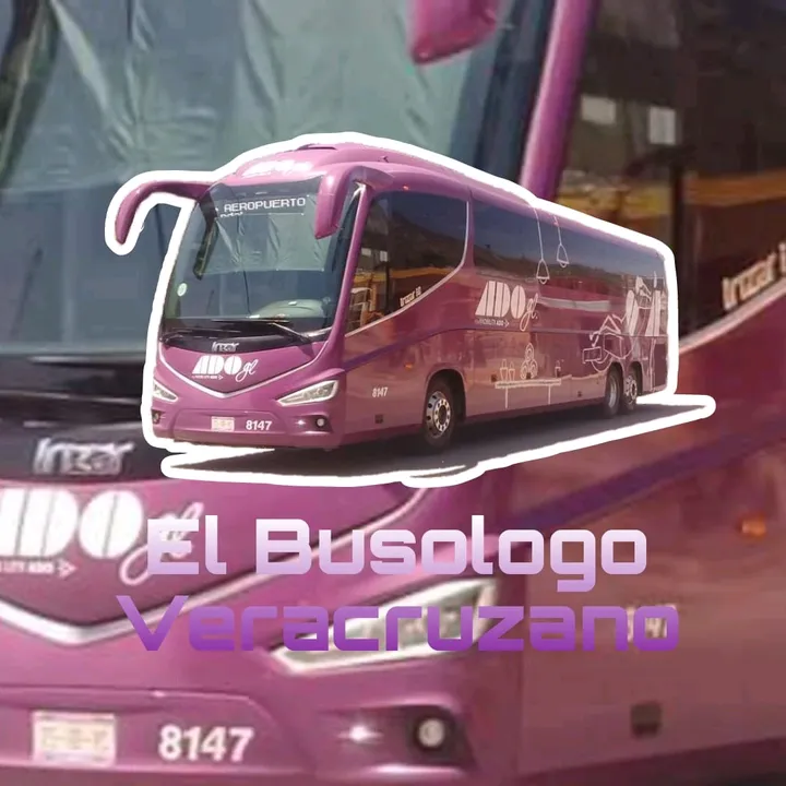 busesVER😎