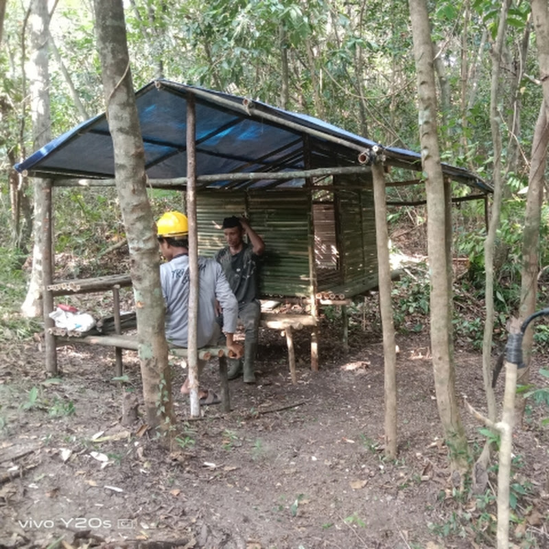 Camping Survival ala pak kuli