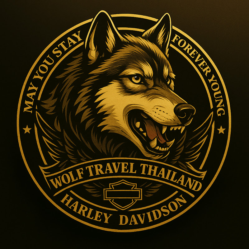 หมาป่าเดินทาง Wolf Travel