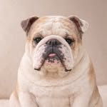 UNICO TE0DORO & KID MACHO 💫