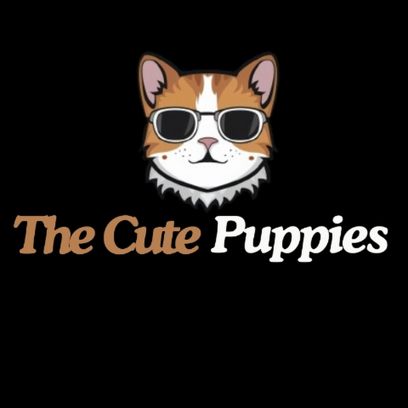 The Cute puppies