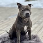 Blu og lillesøster💙💖