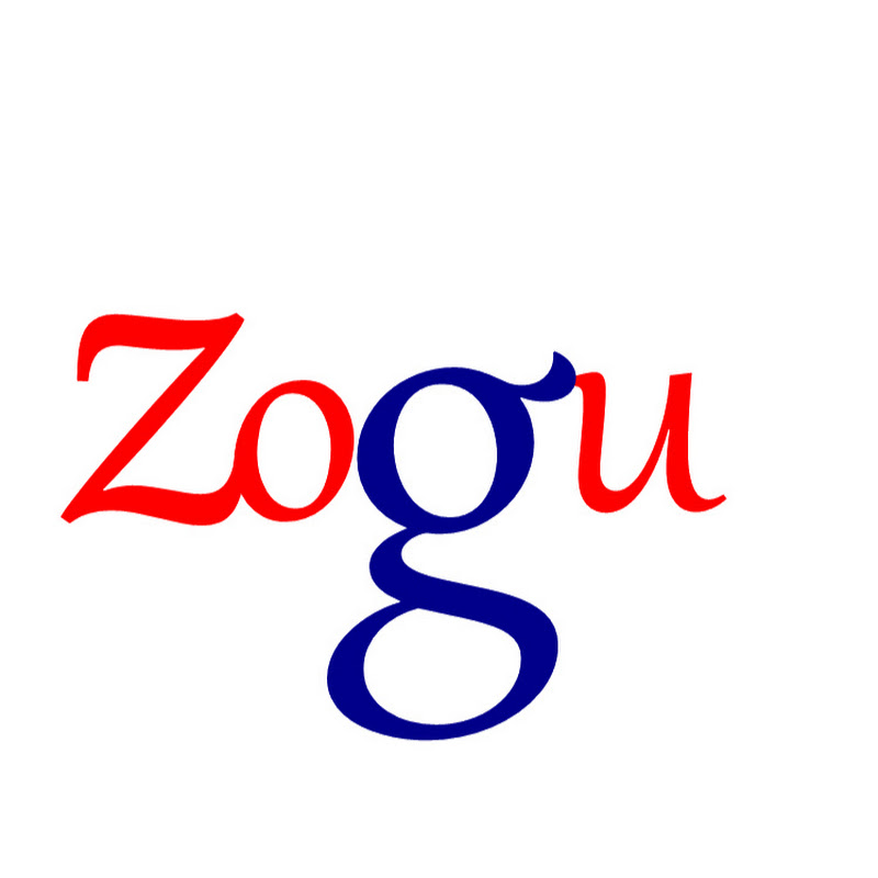 zogutech * hebei Jointe