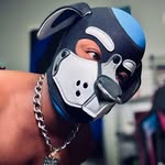 Muscle Pup Comet