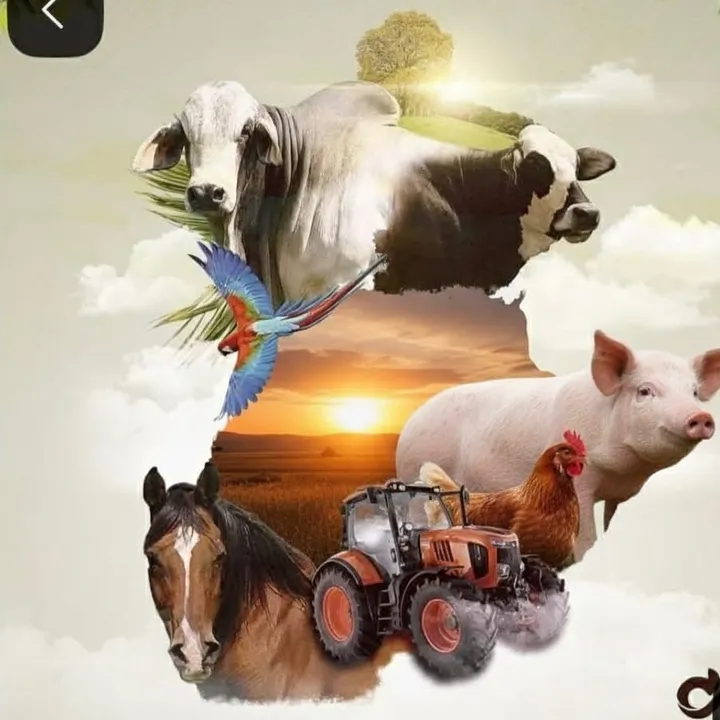 Cría y campo 🐮🌾