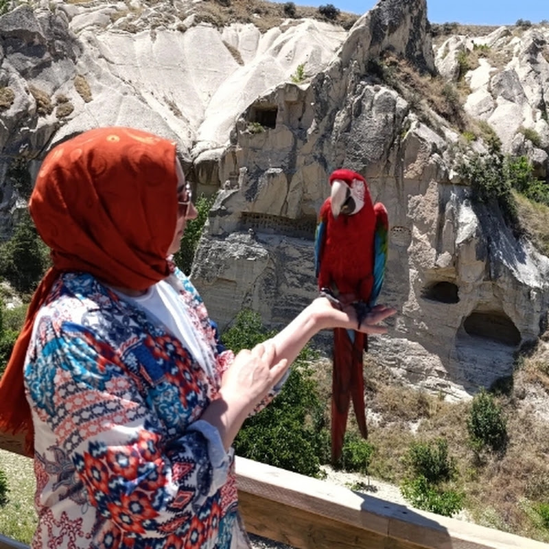 hayata dair 