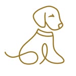 BONDI PUPS || DOG ACCESSORIES