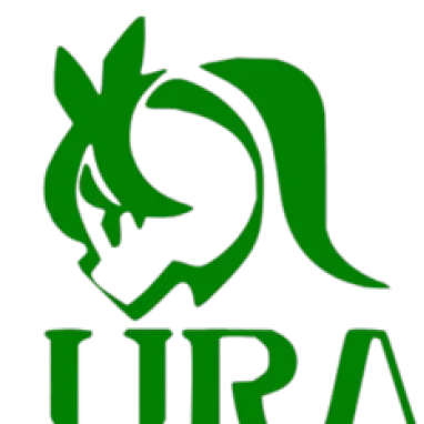 Uma Racing Association