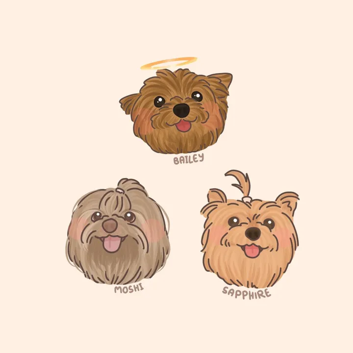 bailey.moshi.sapphire