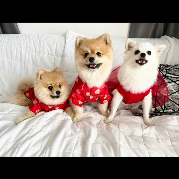 XiaoAnAndFamily