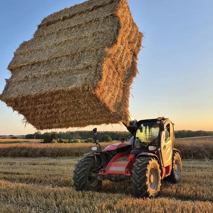 Nathael muniere 🇫🇷