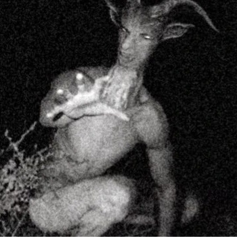 The GoatLad