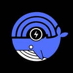 Whale Strategy DJ幣區峰向