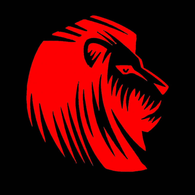 Leones De Barrio