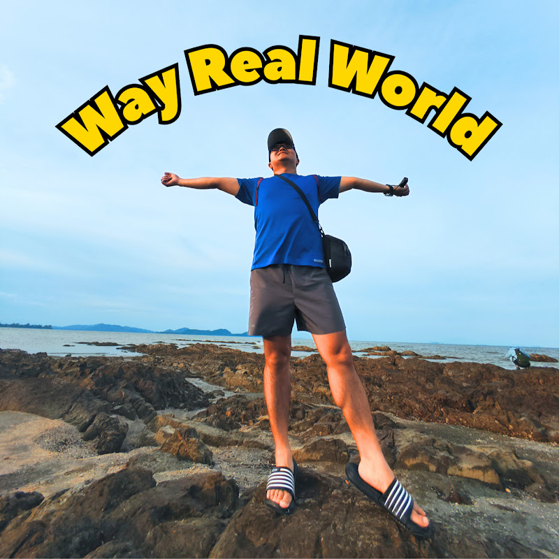 Way Real World 