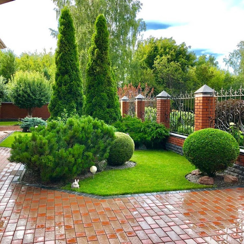 DIY Landscape design