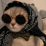 Fabiola Elizabeth🐍