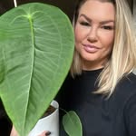 Filippa