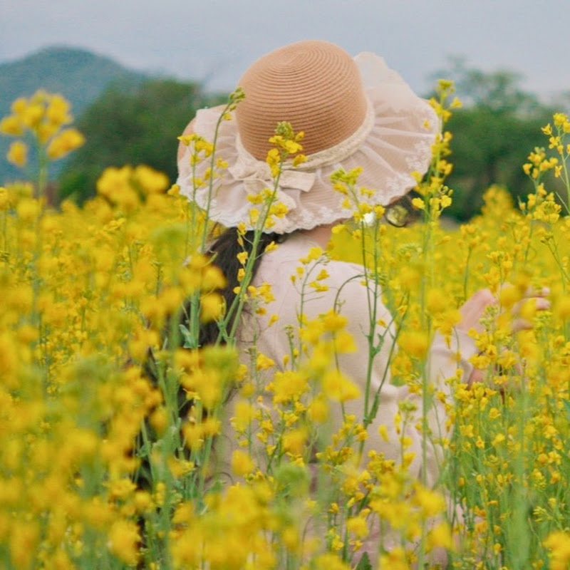 Sincerely Ryn | Life in Korea