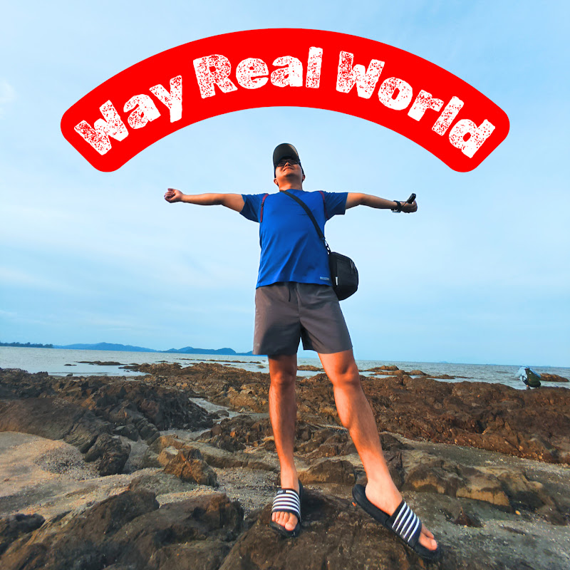 Way Real World 