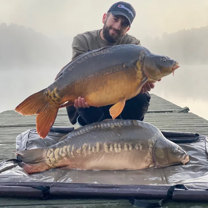 krogulec_nashtackle🎣