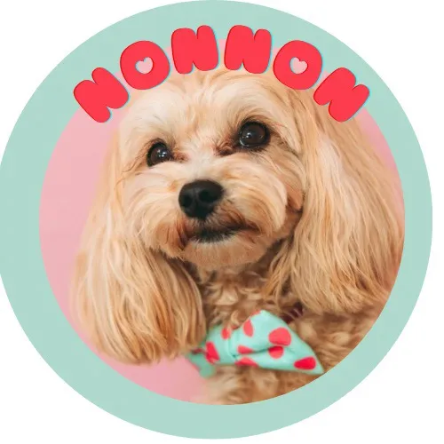 マルプーのんのん🧸