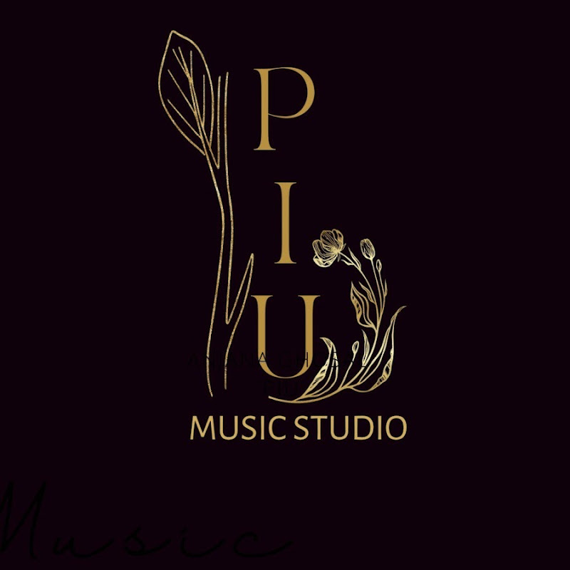 PIU MUSIC STUDIO