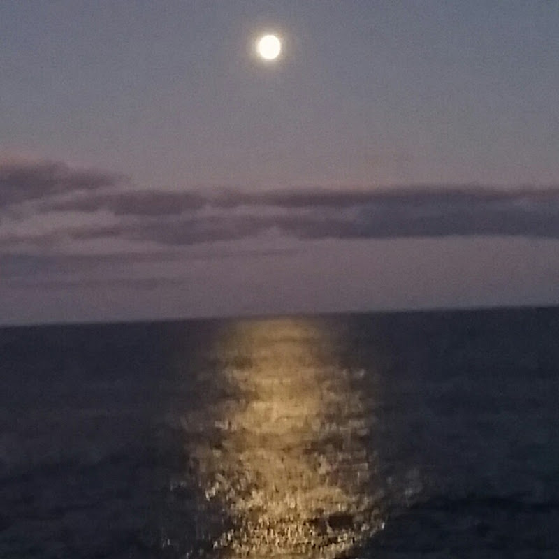 Steve's trains@ topshed34A