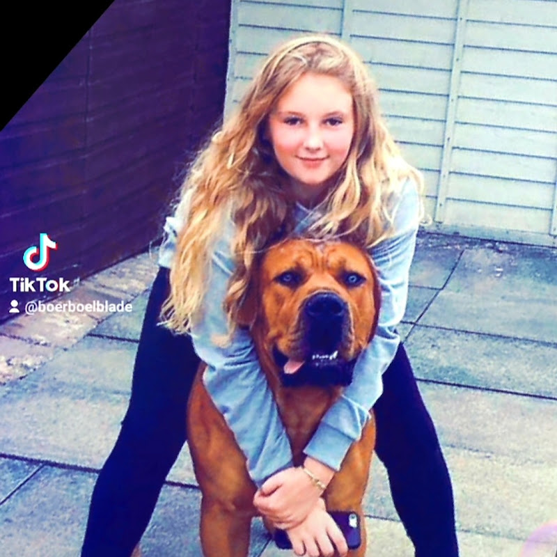 Boerboel Blade and Aria TV