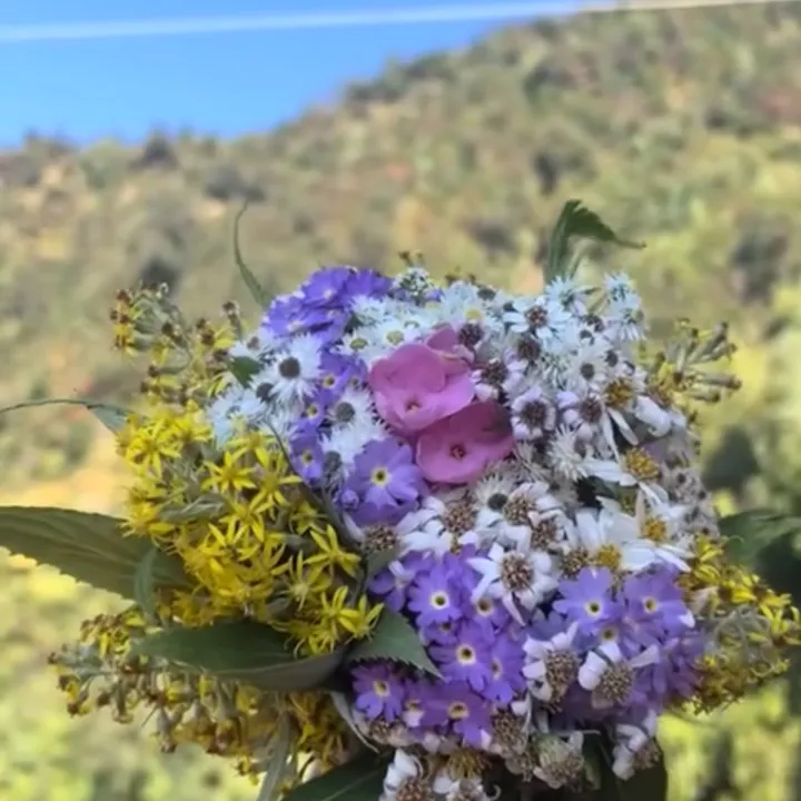 Rokshya Bhandary🪬