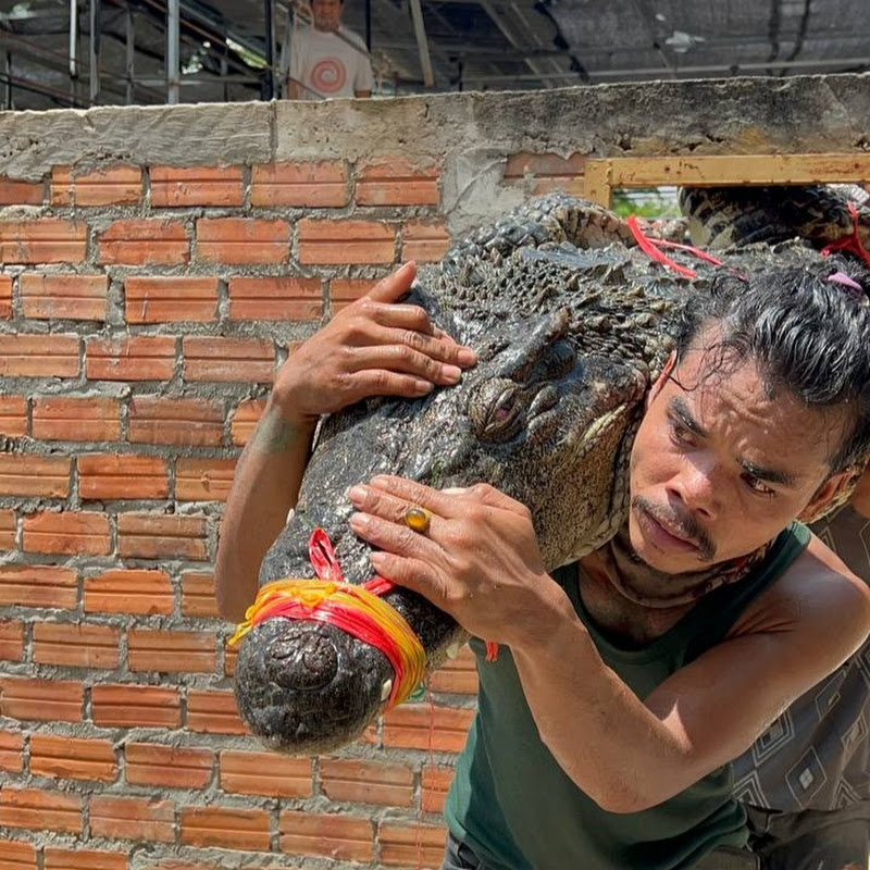 Housing for Crocodiles