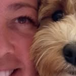 Kat the mini maltipoo