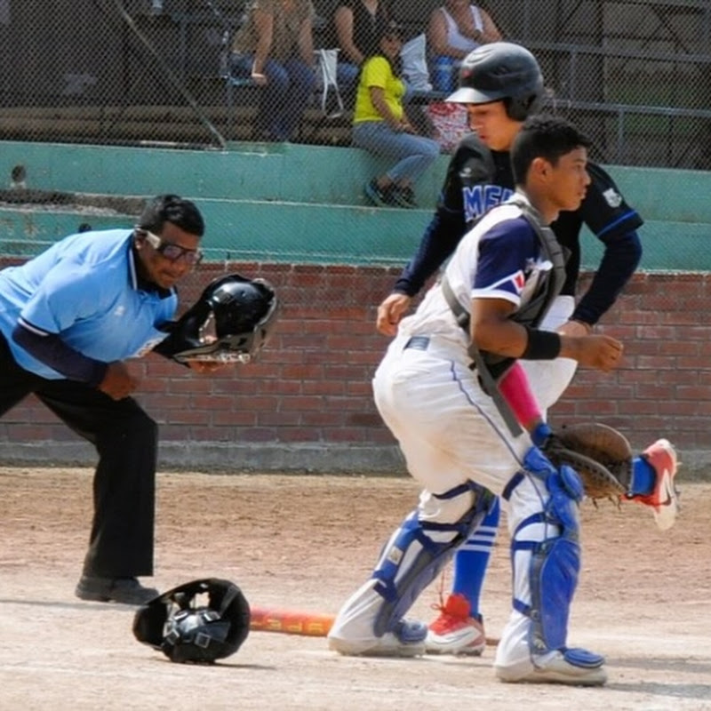 Árbitros de Béisbol y Softball