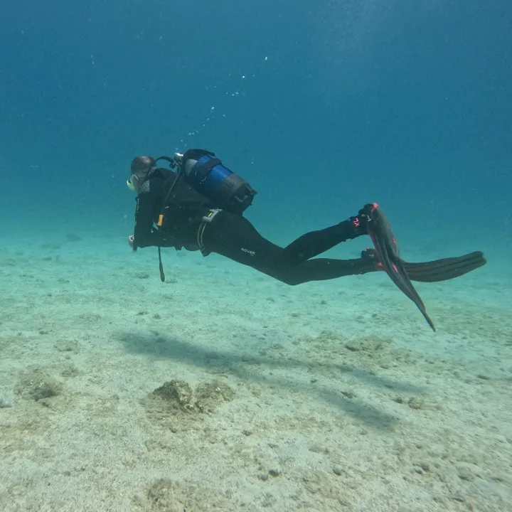 Alex🤿🫧ironDog🐾