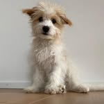 Amani, Tatjana & Mio