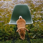 SUSY the bunny & Giulia 🐰👩