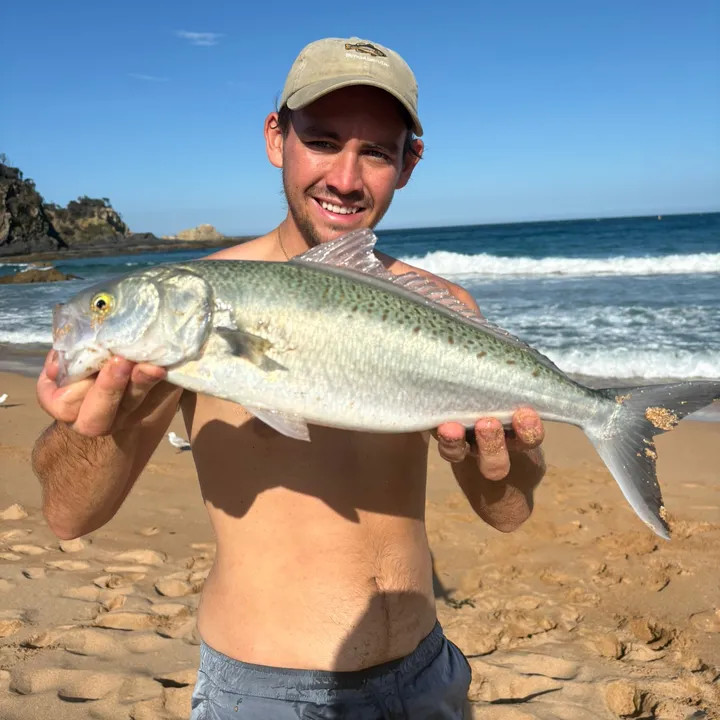 ReelNomad