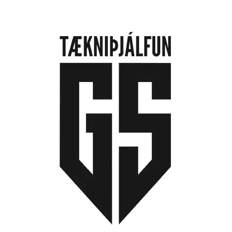 Tækniþjálfun Gylfa Sig
