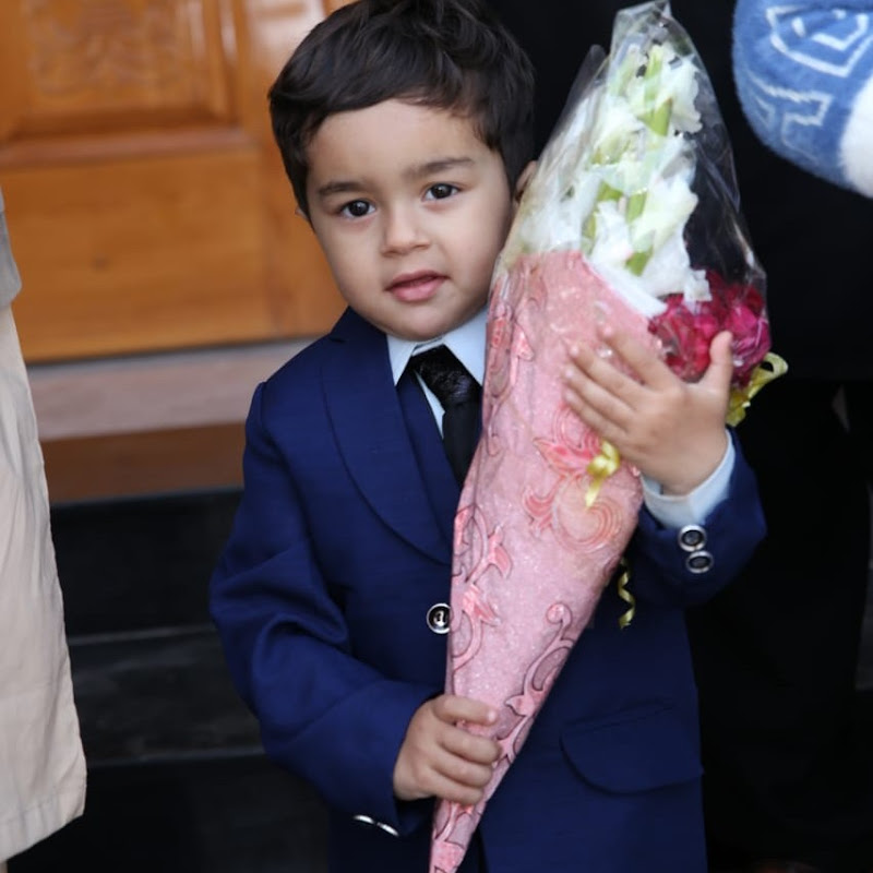 haris tiger