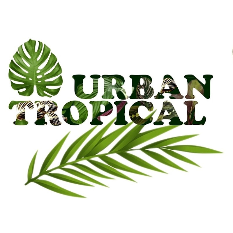 Urban Tropical