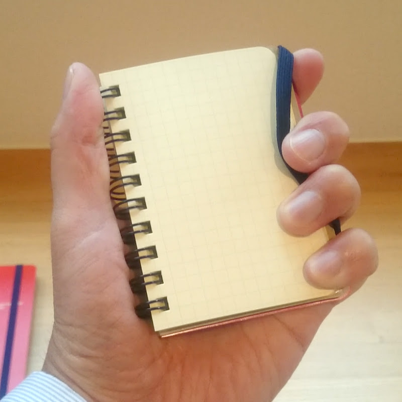 minimini diarist