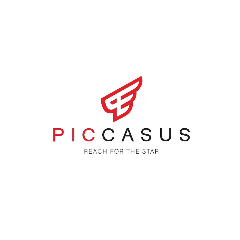 Piccasus