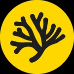 Cozumel Coral Reef Restoration Program