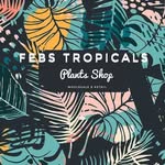 Febs Tropicals