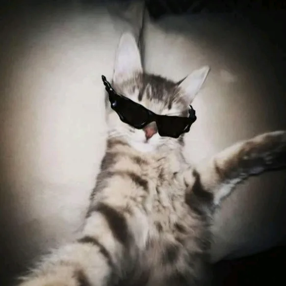 vixxie