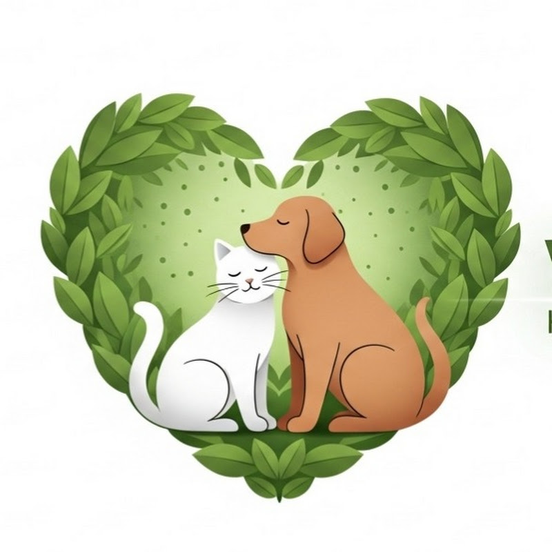 Những Người Hùng Lông Xù